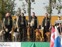 Weltmeisterschaft in Oktober 2010 in der Slovakei. Die Ungarische Mannschaft während unsere Hymne.