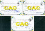 Prüfungsergenisse Alcsi Gergö CAC in der Ukraine