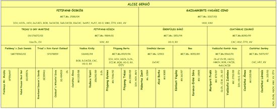 Staumbaum Deckrüde Alcsi Gergö