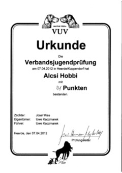 Verbandsjugendprüfung 2012 Alcsi Hobbi Urkunde