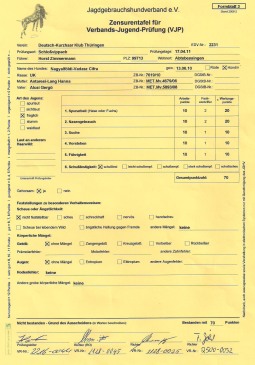 Cyra Zensurentafel für Verbands-Jugend-Prüfung VJP