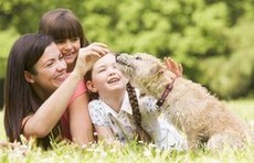 Hund und Familie